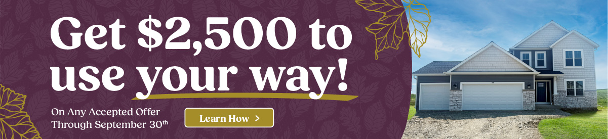 Loos Homes Promotion