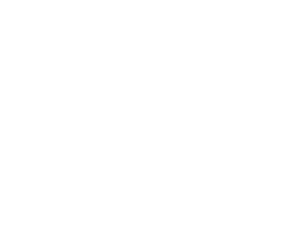 Loos Homes Logo